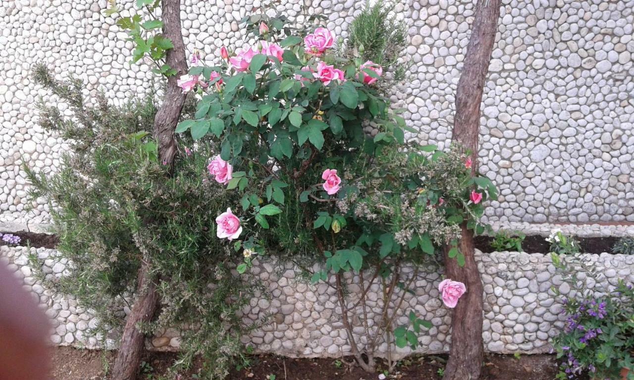 Apartment Dubcic: For Perfect Vacation Dubrovnik Exterior foto